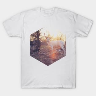 Magical Deer Geometric Photography T-Shirt